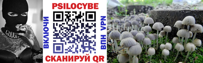 Галлюциногенные грибы Psilocybe Купить Лысьва